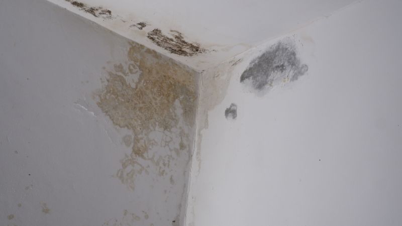 Interior Ceiling Sealing